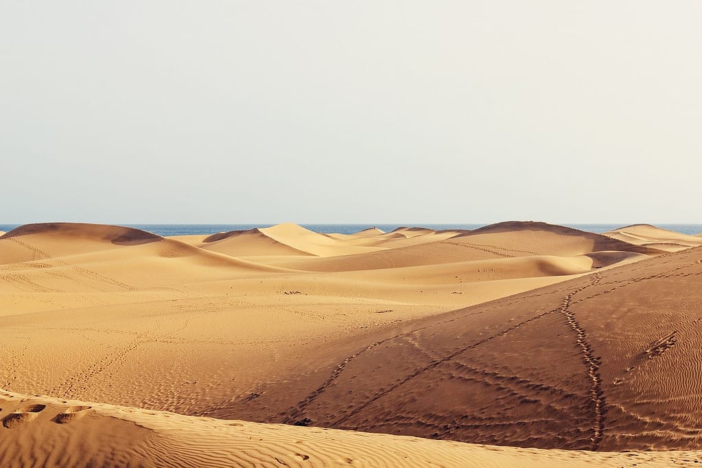 Dunas de Maspalomas, sur de Gran Canaria