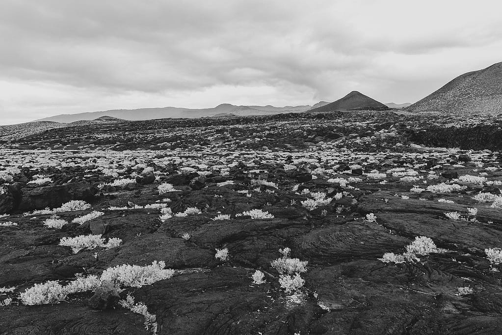 Conos volcánicos en la isla de El Hierro