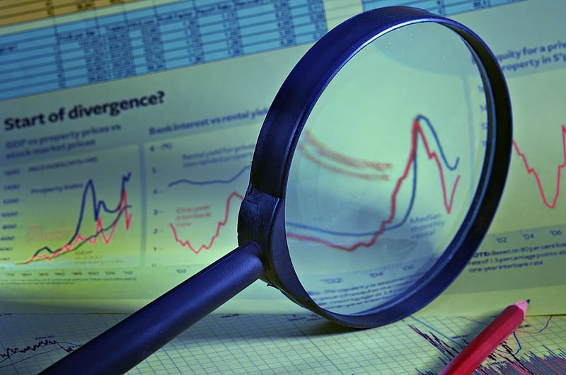Cómo saber si el precio de mi hotel es correcto: lupa sobre un informe de tarifas y curvas de demanda